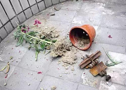 新澳今天最新资料大全和天降花盆砸路人脚边与花盆坠落将人砸死